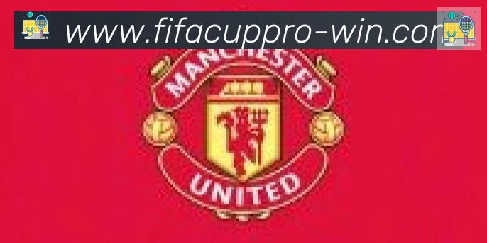 FIFA世界杯买球入口合作伙伴